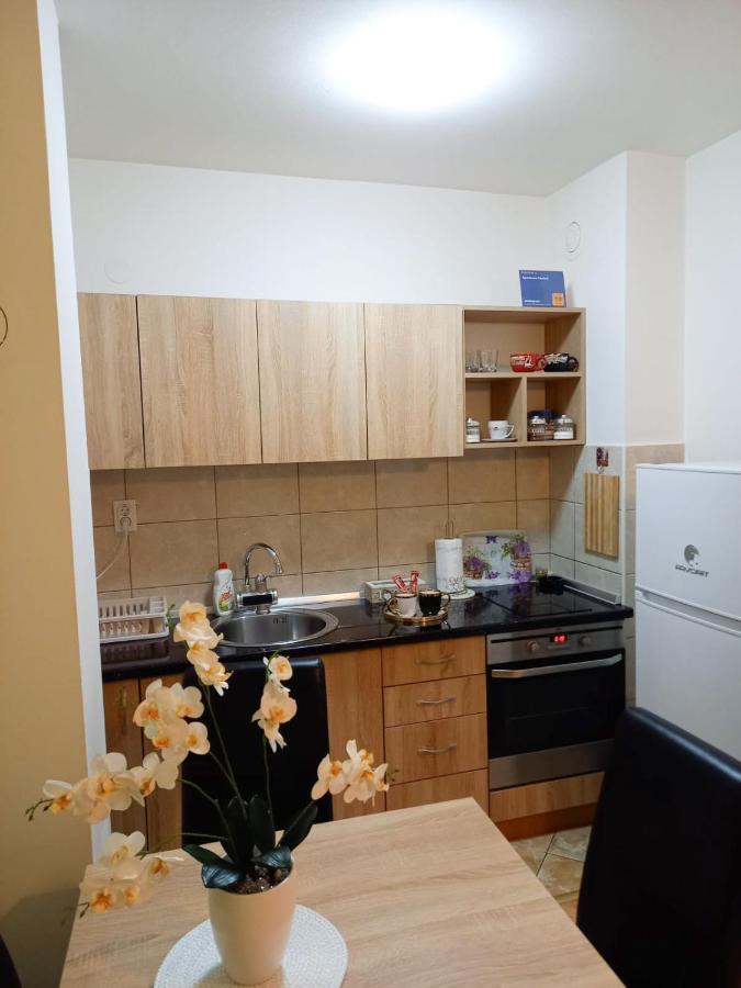 Apartman Central Bijeljina Dış mekan fotoğraf